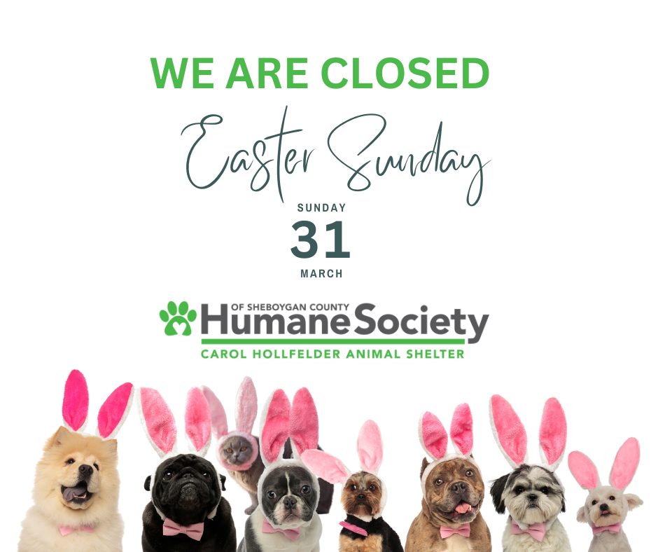 Closed for Easter Sunday